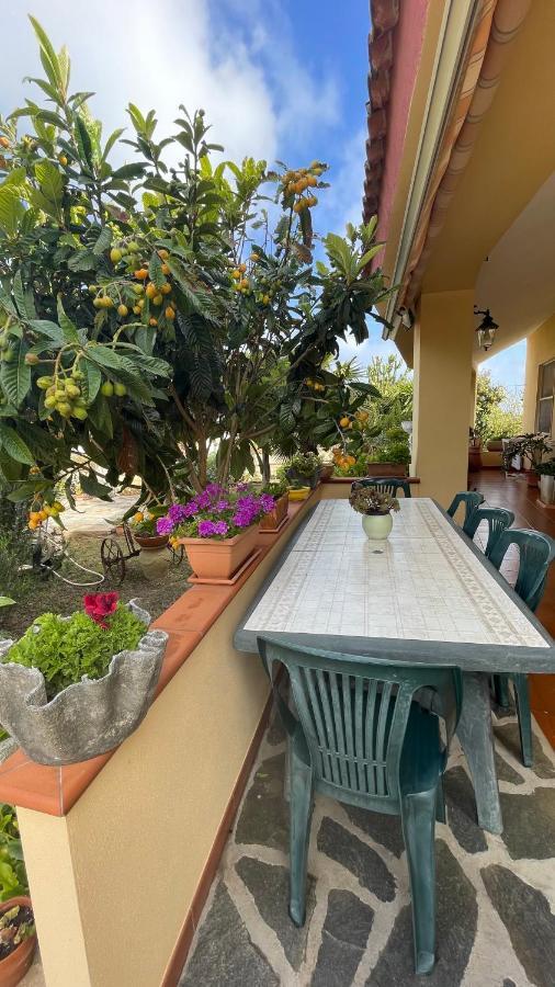 La Mansarda Bed & Breakfast Biancareddu ภายนอก รูปภาพ